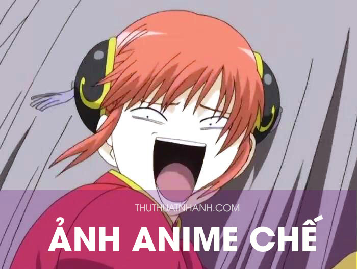 Tổng hợp 100 hình nền anime hài Cười không nhặt được mồm
