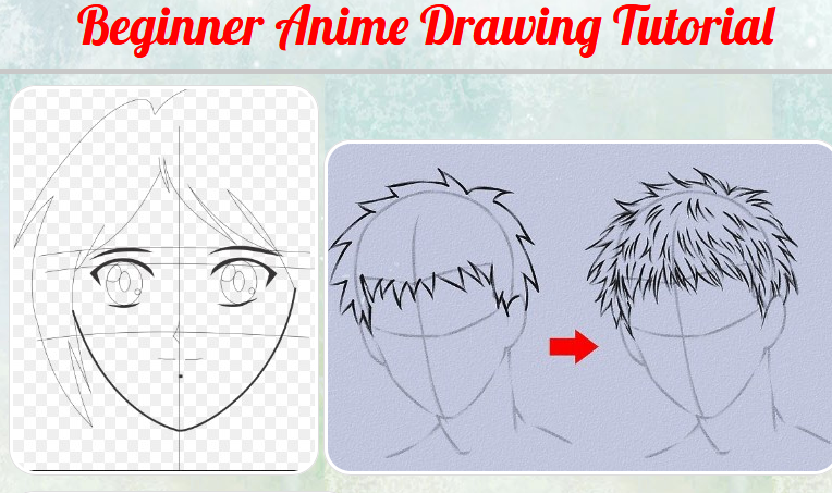 Hướng dẫn vẽ Anime cho những người mới mẻ bắt đầu