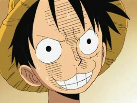 Những hình ảnh hài hước của Luffy khiến người xem cười rụng rốn