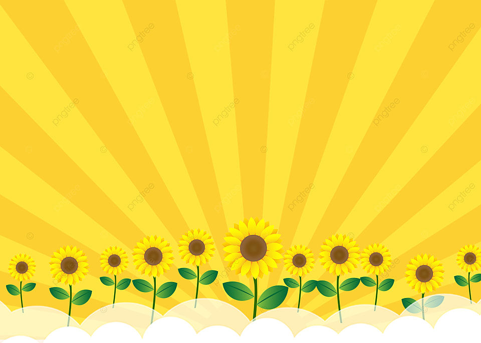 Hình nền Phim Hoạt Hình Nền Hoa Hướng Dương Vàng, Hoa Hướng Dương, Hoa Mặt Trời, Cây Background Vector để tải xuống miễn phí - Pngtree